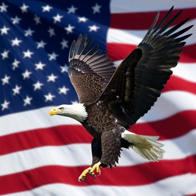 Bald Eagle Flying Over American Flag