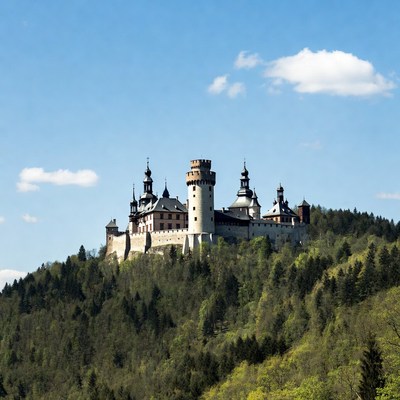 Medieval Castle on Forested Hill