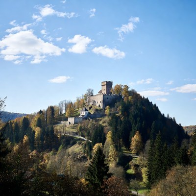 Medieval Castle on Autumn Hilltop