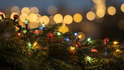 Colorful Christmas lights on pine branches