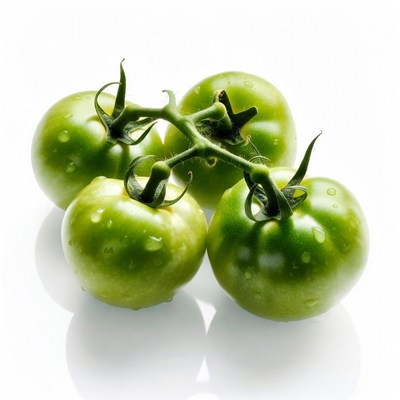Fresh green tomatoes on stems