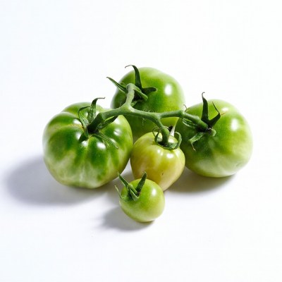 Fresh Green Tomatoes on White Background