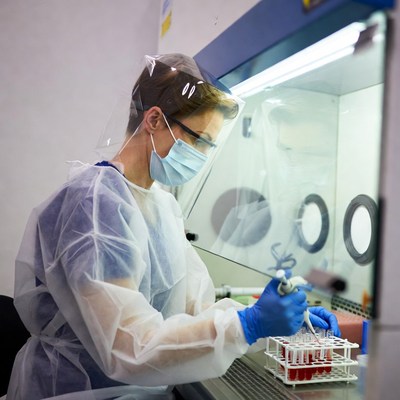 Woman pipetting samples in biosafety cabinet