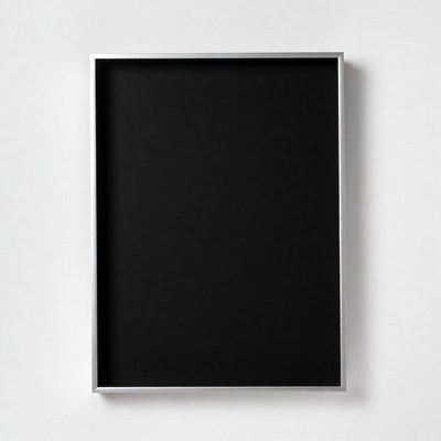 Silver Frame with Black Mat