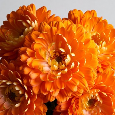 Orange Gerbera Daisies Bouquet