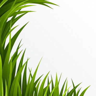 Green grass blades illustration