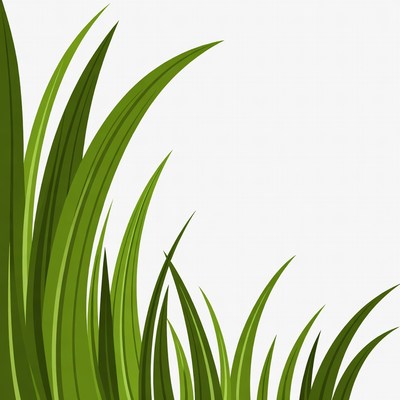 Green grass illustration isolated background