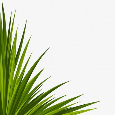 Green grass corner illustration