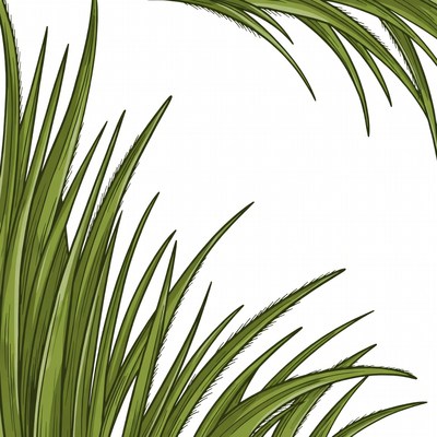 Green grass blades illustration