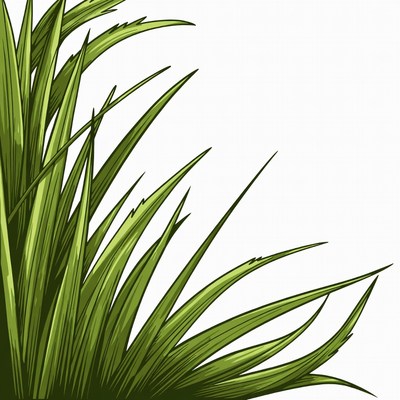 Green grass illustration isolated background