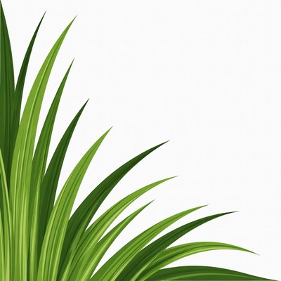 Green Grass Clipart Border