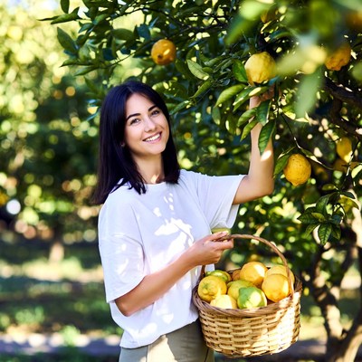 Woman picking lemons from tree