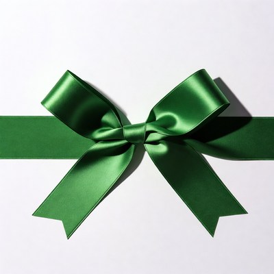Green satin gift bow