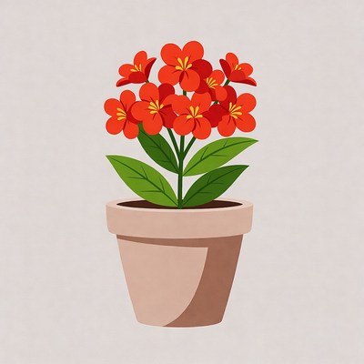 Red Flowers in Terracotta Pot