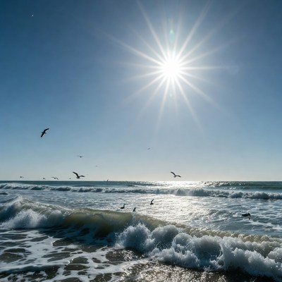 Seagulls flying over sunny ocean waves