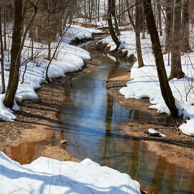 Snowy Stream in Forest