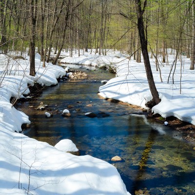 Snowy Forest Stream with Clear Water