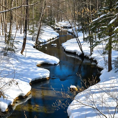 Snowy Forest Stream Winding Through Trees