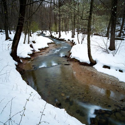 Snowy Forest Stream Flowing