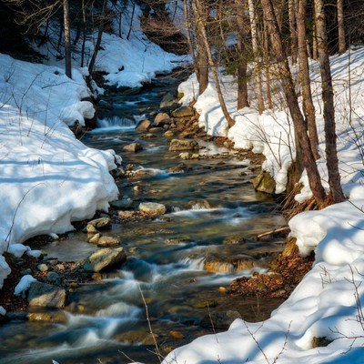 Snowy Forest Stream Flowing