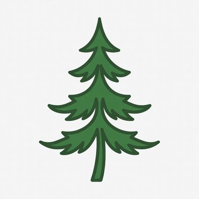 Green Pine Tree Illustration