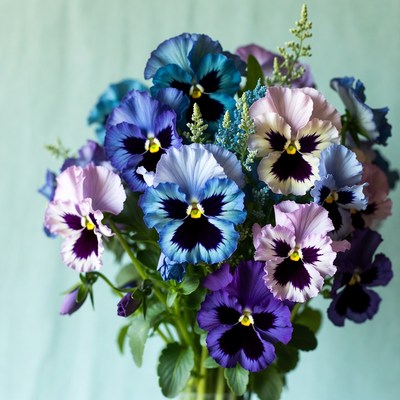 Vibrant Purple Pansy Bouquet