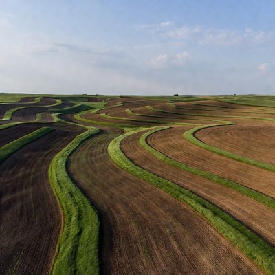 Curved Farm Fields Aerial View