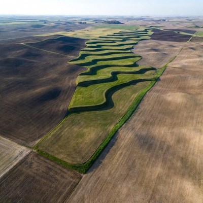 Aerial view of wavy green field patterns