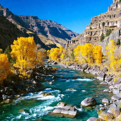 Autumn River in Canyon