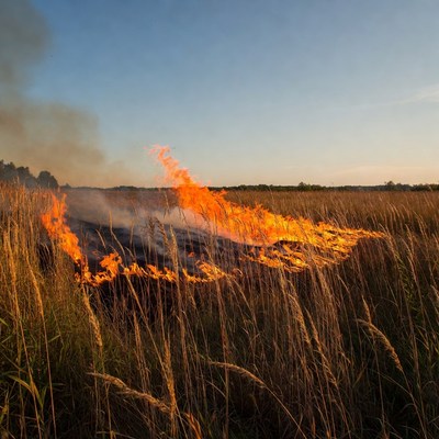 Grass Field Burning at Sunset