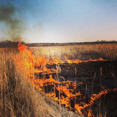 Grass Field Burning in Open Landscape