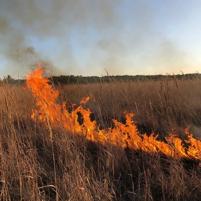 Grass Field Burning in Flames