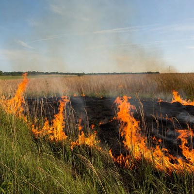 Grass Field Burning in Countryside
