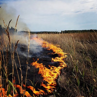 Grass Fire Burning Through Field