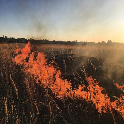 Grass Field Burning at Sunset