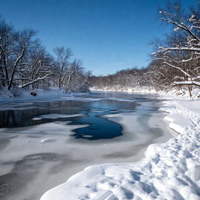 Frozen River in Snowy Woods