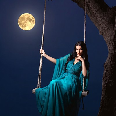 Woman in blue gown on tree swing