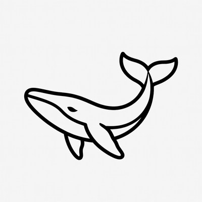 Humpback Whale Line Art