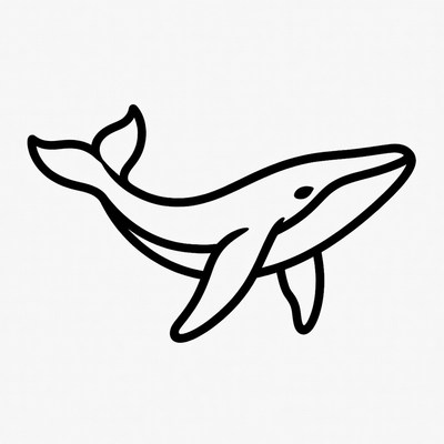 Humpback Whale Line Art