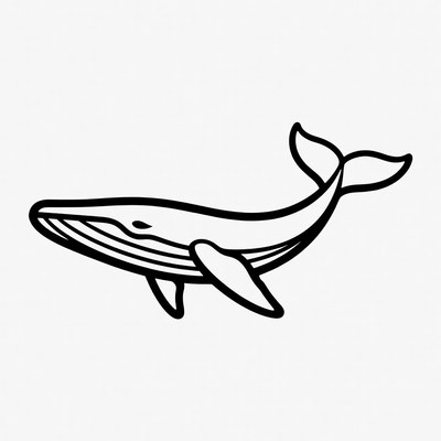 Humpback Whale Line Art