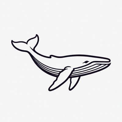 Humpback Whale Line Art