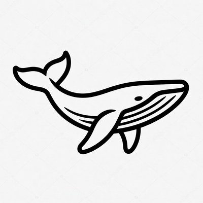 Humpback Whale Line Art