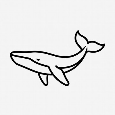 Line drawing of humpback whale