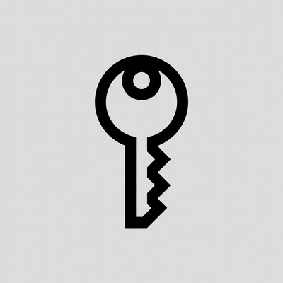 Black outline key icon