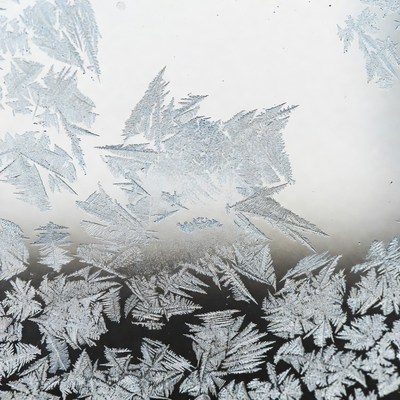 Frost Patterns on Window Glass
