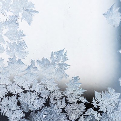 Frosty ice crystals on window