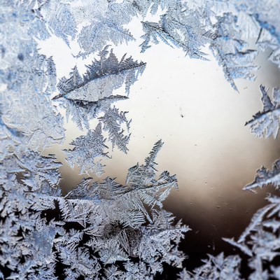 Frosty Window Patterns