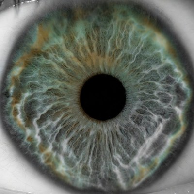 Close-up green hazel eye