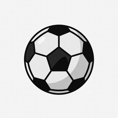 Black and White Soccer Ball