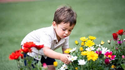 Boy picking flowers in garden